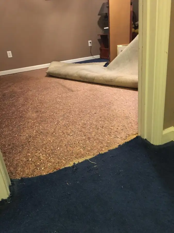 Carpet pad removal revealing water damage during Water Mitigation Services in Flowery Branch