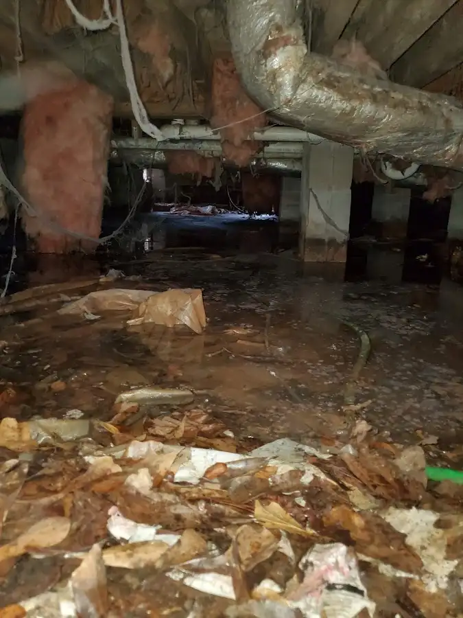 Crawl space flood assessment for Commercial Water Damage Restoration in Flowery Branch