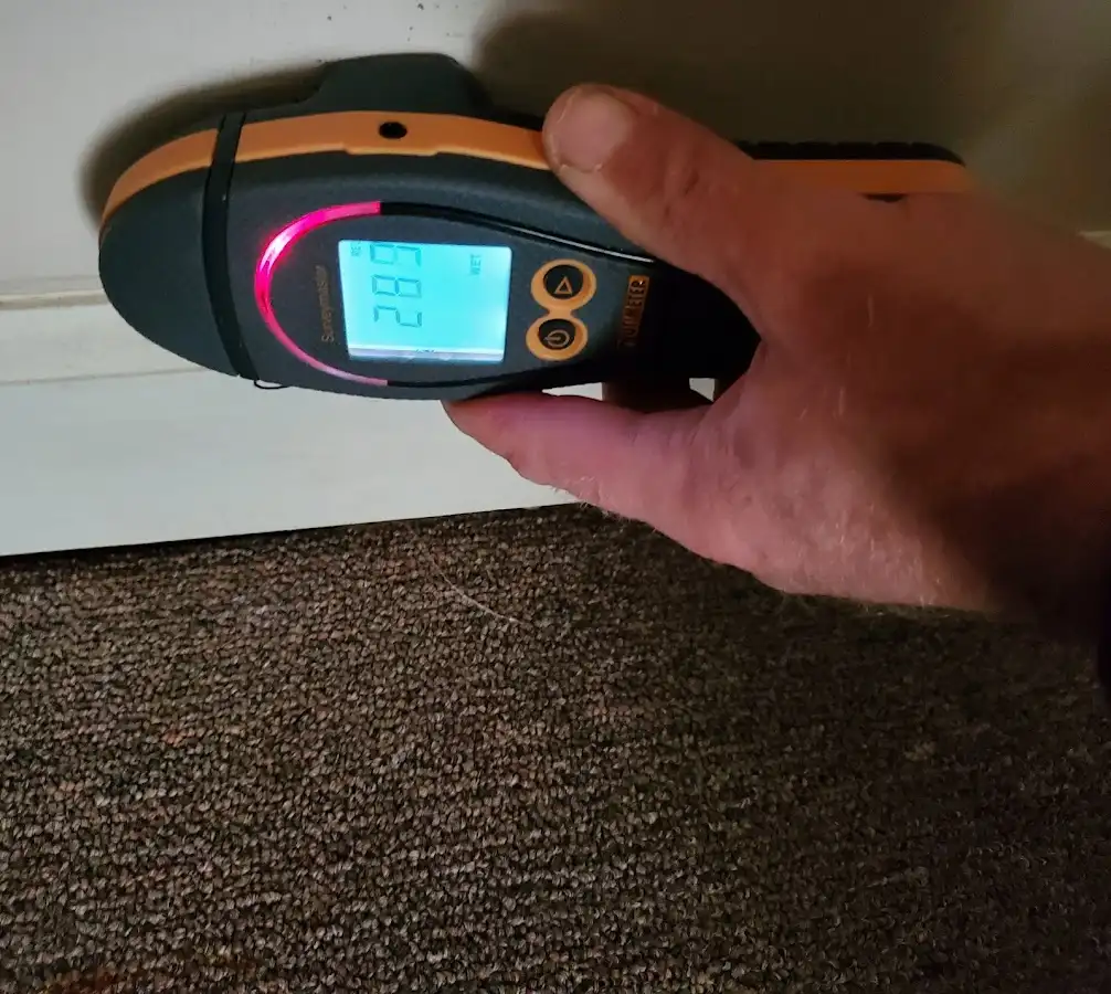 Moisture detection at baseboard during Sewage Cleanup & Sanitation in Flowery Branch